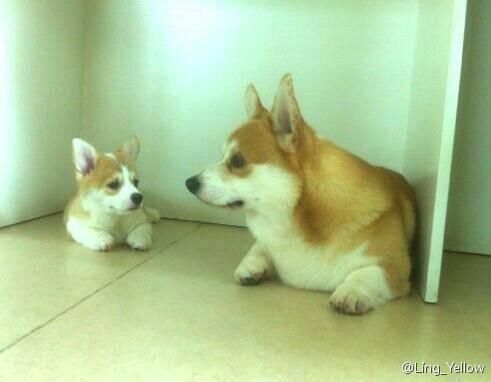 nibby与爸爸Fiyero