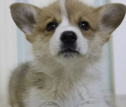 F8FFDMW@9GPBJXJF]`I17LW.jpg