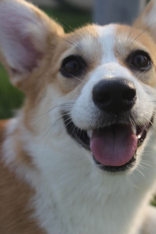 照片 195 (533x800) (533x800).jpg