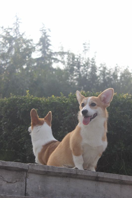 照片 214 (533x800) (2).jpg