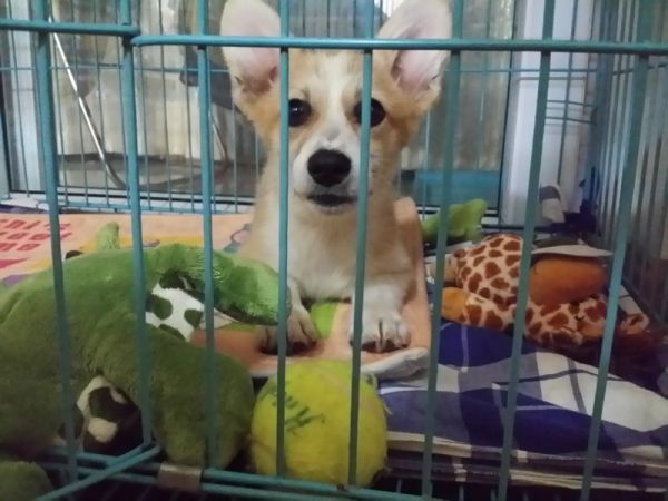 20140712_201134 (800x600) (800x600).jpg