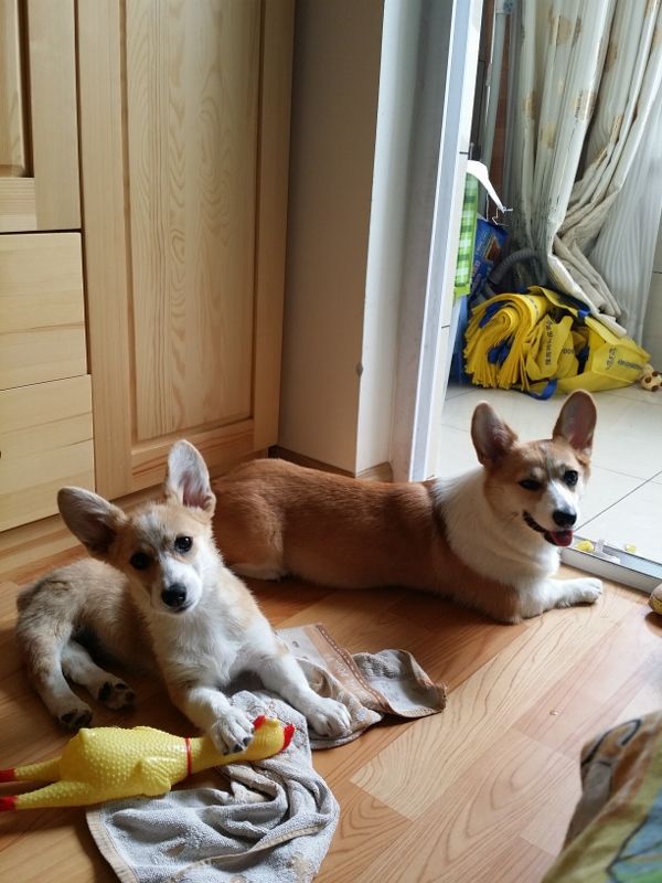 20140720_102845 (600x800) (600x800).jpg