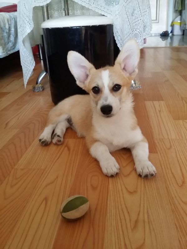 20140726_103042 (600x800) (600x800).jpg