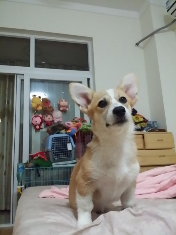 20140730_224524 (600x800) (600x800).jpg