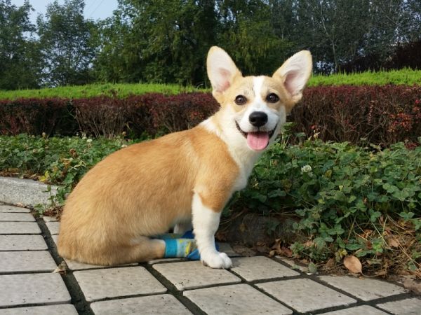 20140801_075230 (800x600) (800x600).jpg