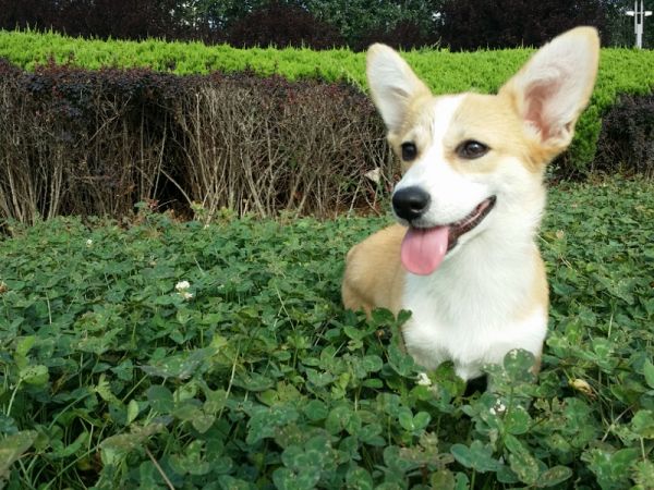 20140801_075331 (800x600) (800x600).jpg