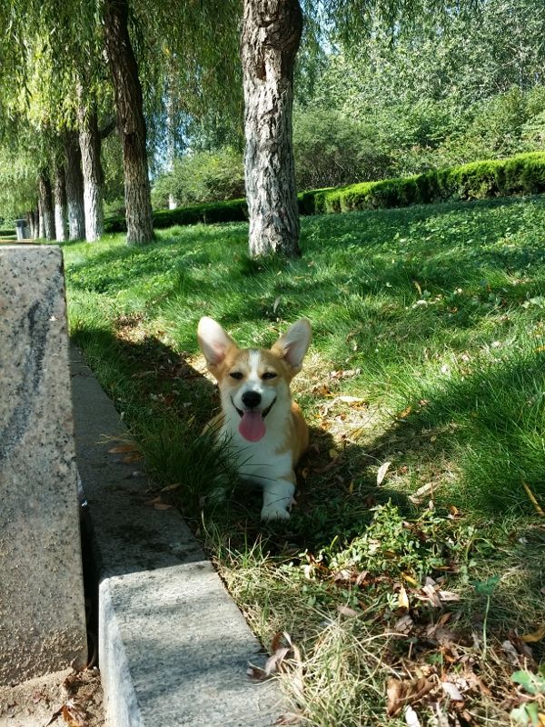 20140802_084922 (600x800) (600x800).jpg