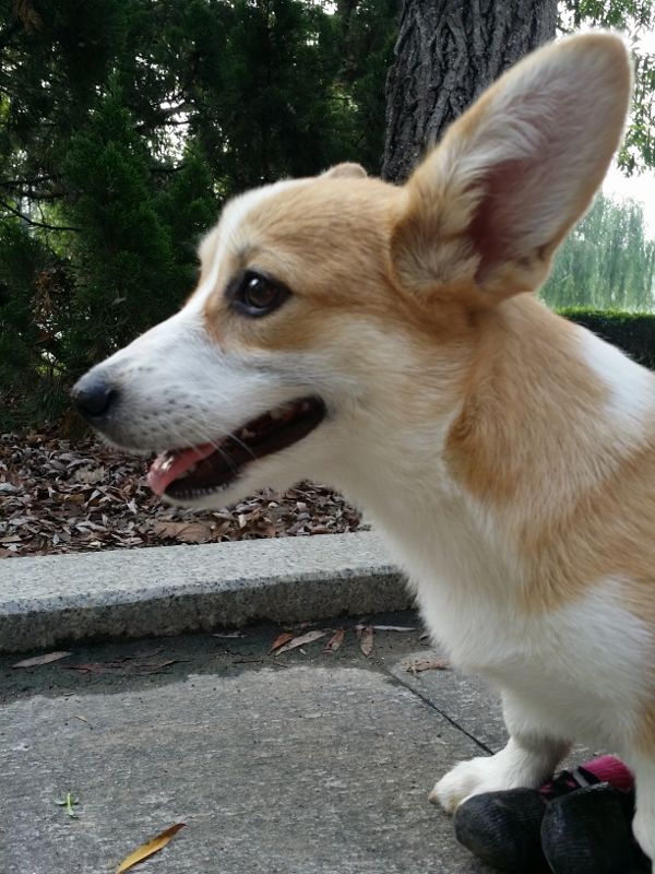 20140810_080332 (600x800) (600x800).jpg