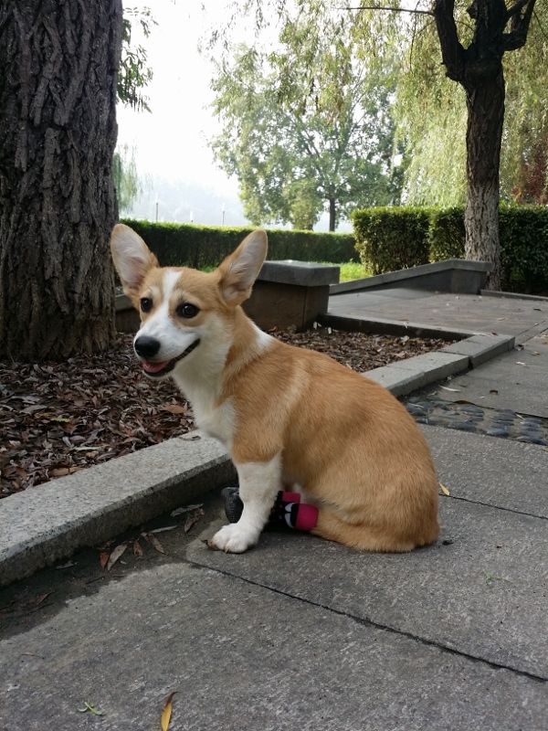 20140810_080349 (600x800) (600x800).jpg