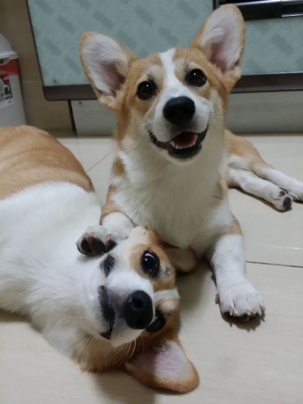 20140823_200201 (600x800) (600x800).jpg