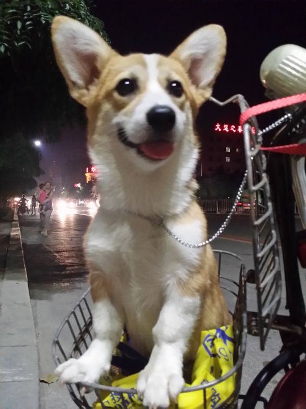 20140825_205147 (600x800) (600x800).jpg