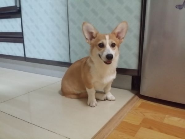 20140905_065746 (800x600) (800x600).jpg