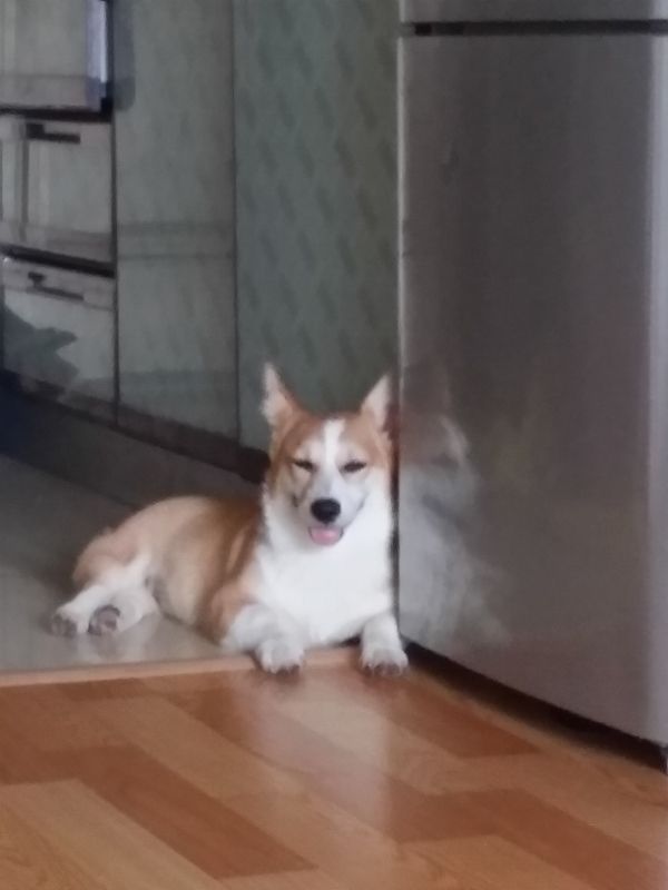 20140905_080713 (600x800) (600x800).jpg