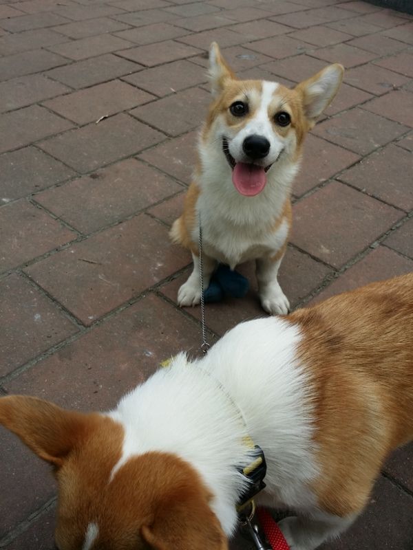 20140907_092328 (600x800) (600x800).jpg