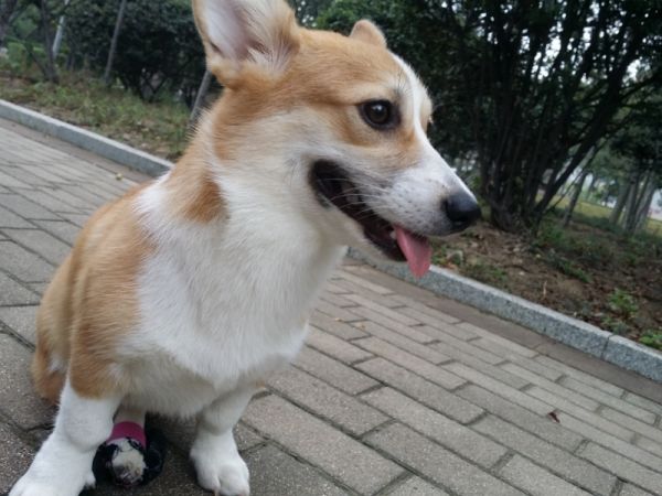 20140914_073133 (800x600) (800x600).jpg