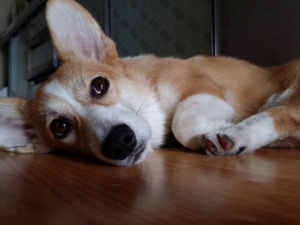 20141012_133225 (800x600) (800x600).jpg