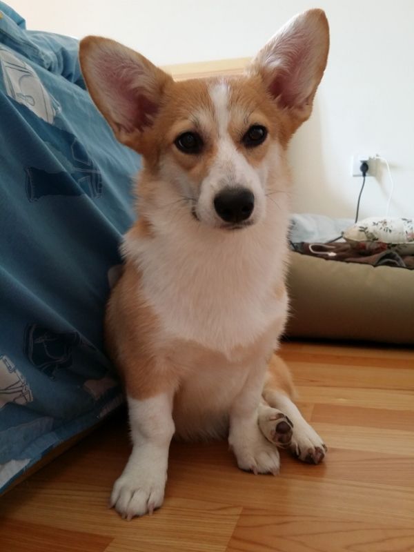 20141018_113348 (600x800) (600x800).jpg