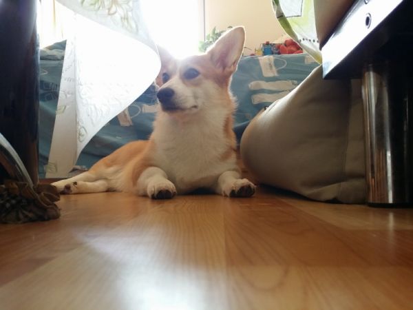 20141018_113442 (800x600) (800x600).jpg