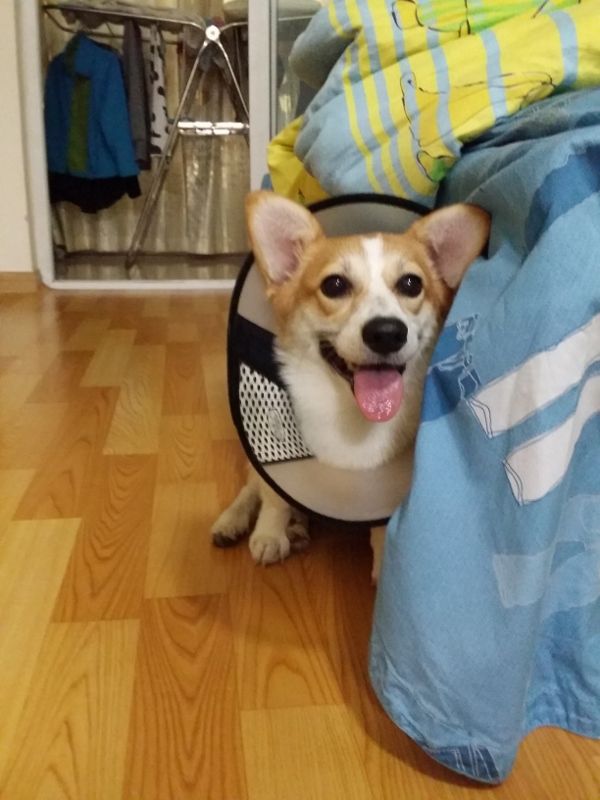 20141019_080014 (600x800) (600x800).jpg