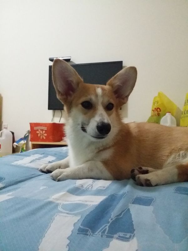 20141019_081941 (600x800) (600x800).jpg