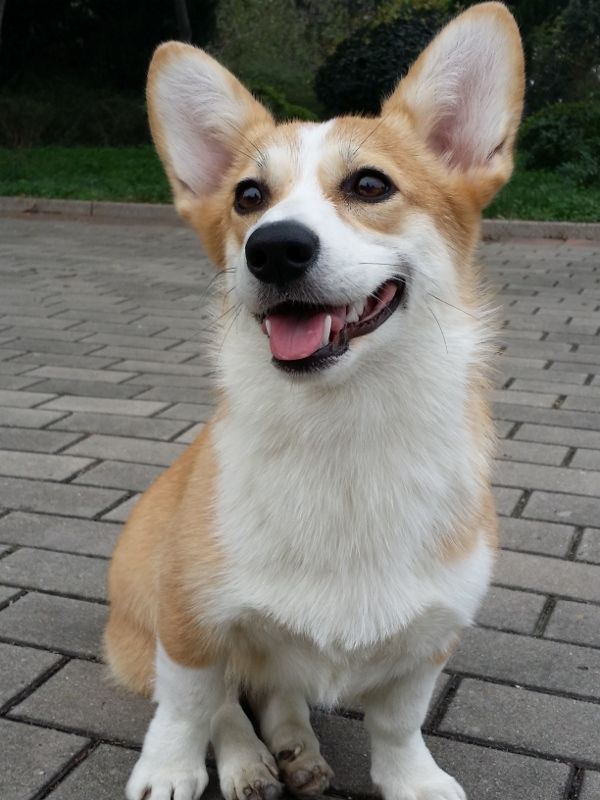 20141101_081156 (600x800) (600x800).jpg