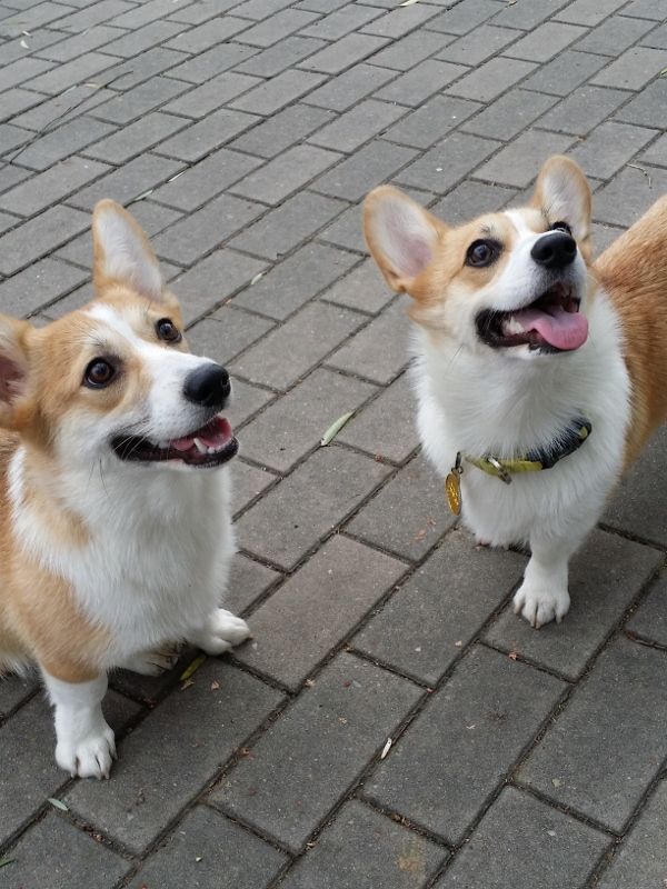 20141101_081253 (600x800) (600x800).jpg