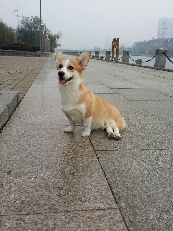 20141101_082312 (600x800) (600x800).jpg