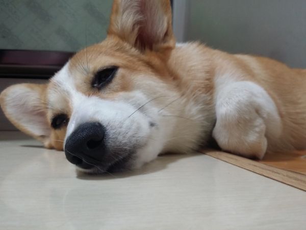 20141101_095121 (800x600) (800x600).jpg