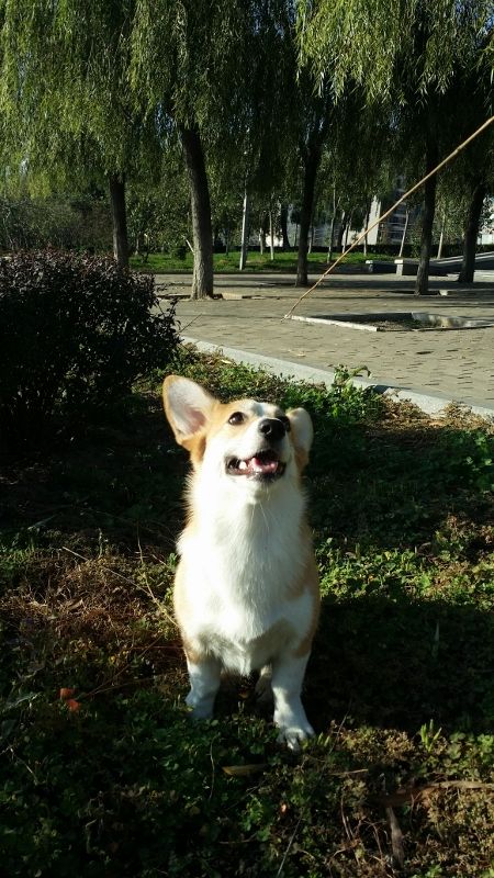 20141102_082938 (450x800) (450x800).jpg