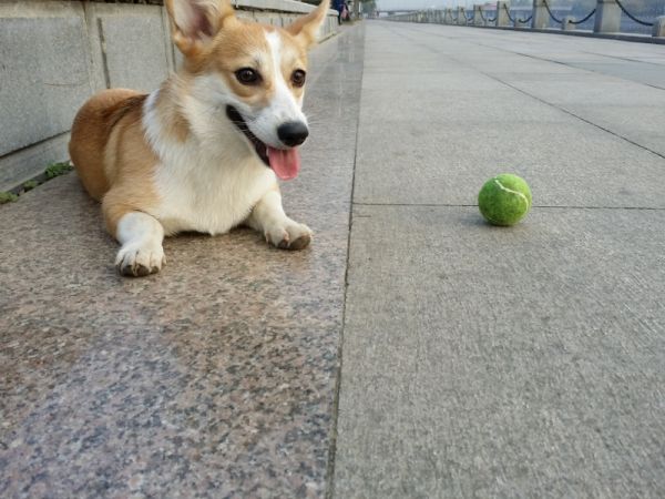 20141108_083008 (800x600) (800x600).jpg