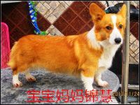 180237v32235v55m2he50m.jpg