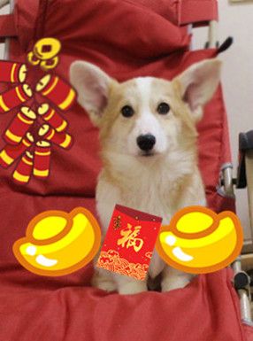 新年好_2.jpg