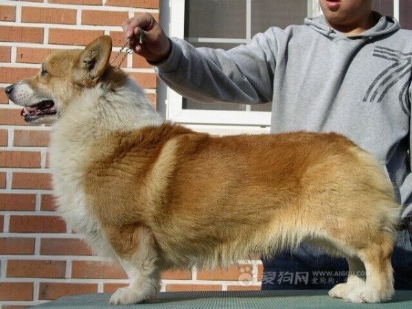 曾祖父.jpg