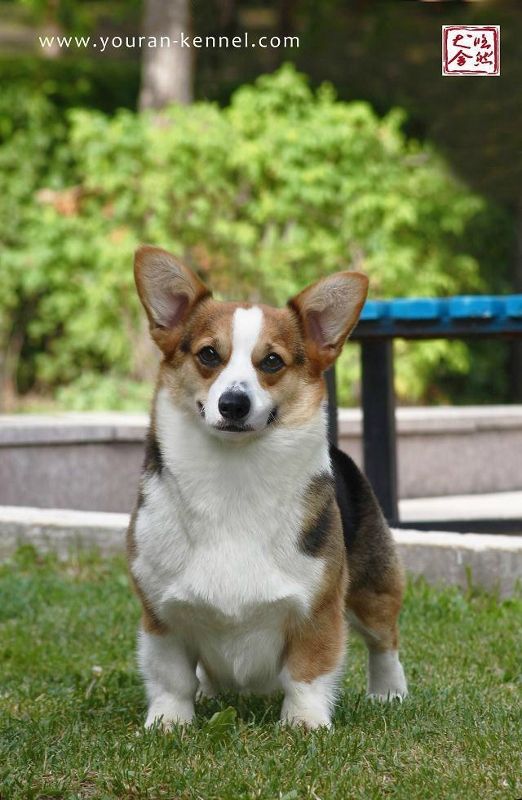 聚美14.7 2 (522x800).jpg