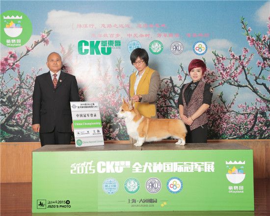 弟弟登录_副本.jpg
