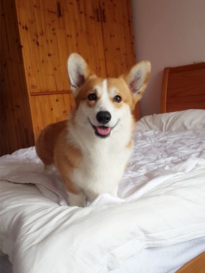 20150321_125248_副本.jpg