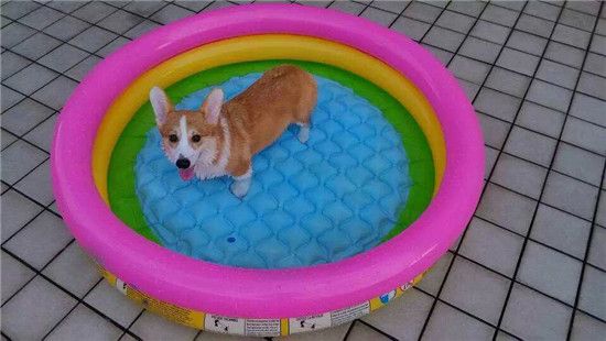 default (6).jpg