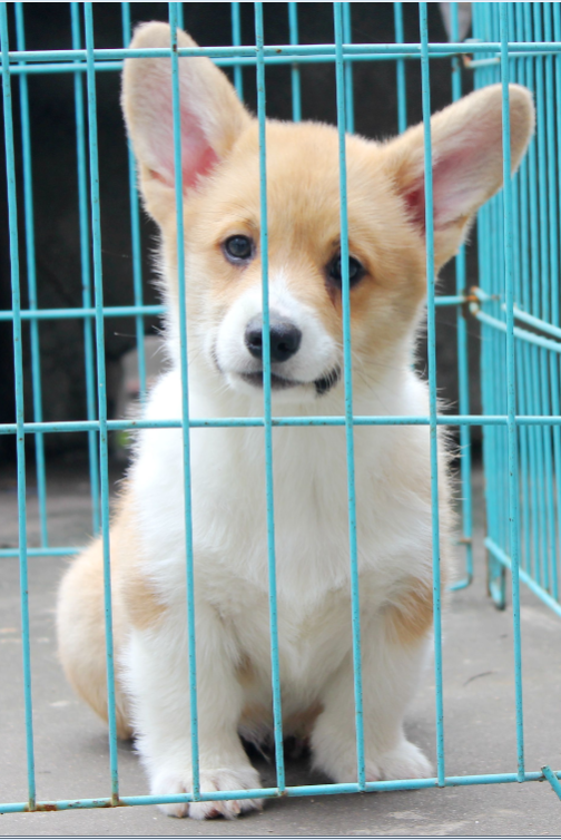 QQ图片20150326180936.png