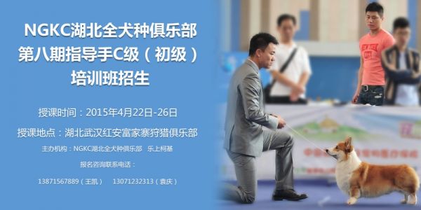 乐上柯基海报.jpg