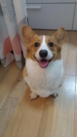 20150303_214447.jpg