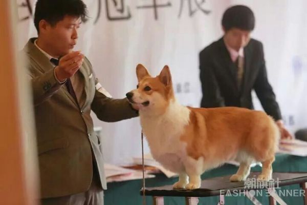 爸爸