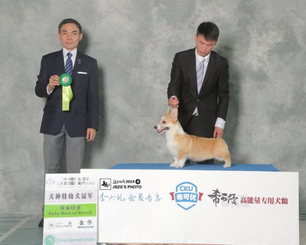 6).jpg