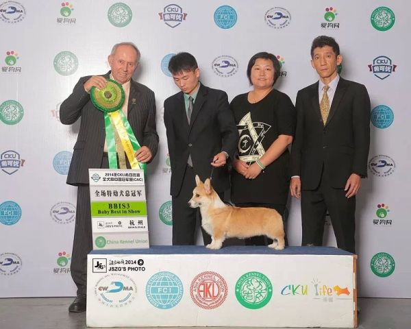 222).jpg