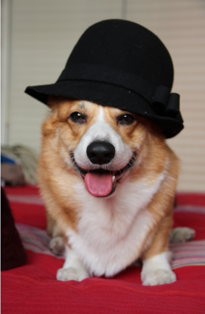 7.png