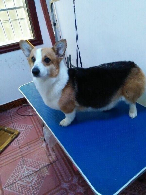 母亲小卡
