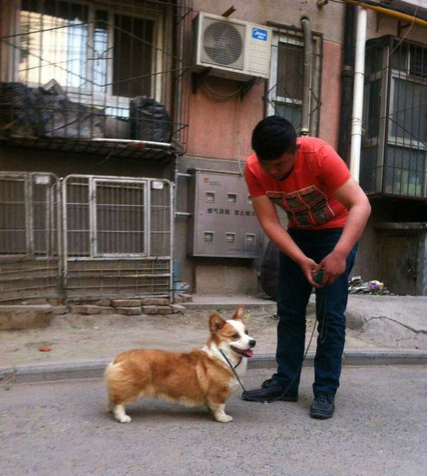 格鲁.JPG