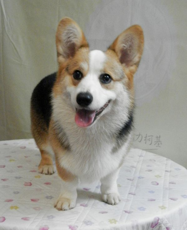 出售