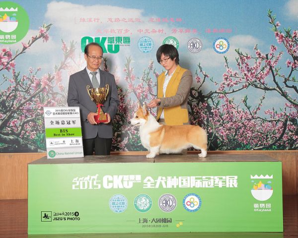 JS023630-2000a.jpg