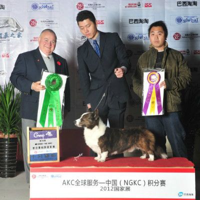 psb (5).jpg