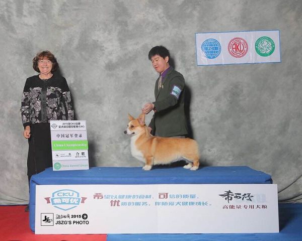 image.jpg